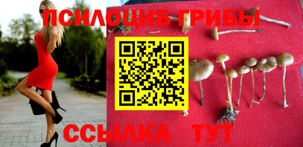 Псилоцибиновые грибы мицелий Шебекино