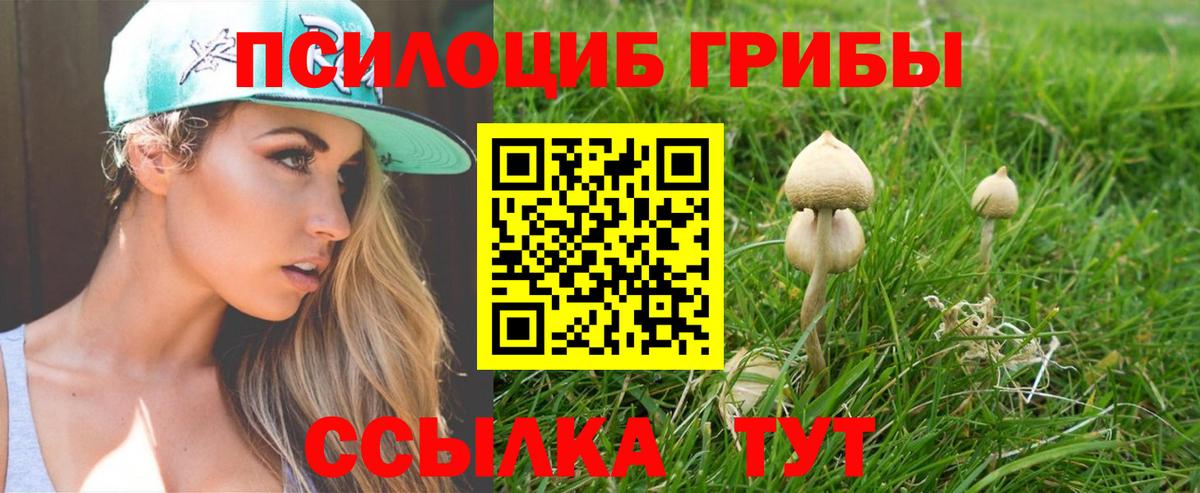 Галлюциногенные грибы мухоморы  Вход с VPN  Шебекино 